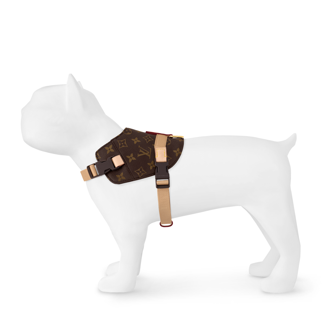 Harness MM - Pets Accessories | LOUIS VUITTON